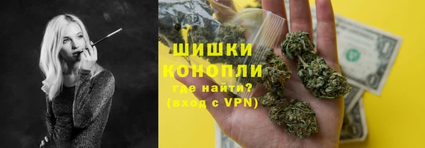 сатива Арсеньев
