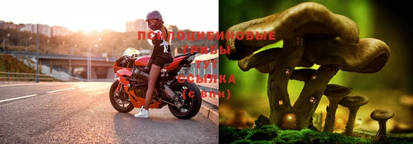 дурь Баксан